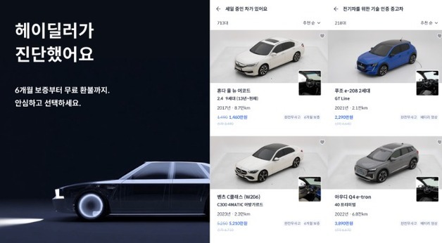 [단독]헤이딜러, 중고차 직판 본격화…경매중개서 소매로 사업 확대