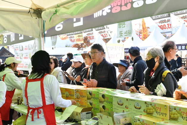 "가을 축제·먹거리 가득"…횡성군, 10월 도민 대상 50% 할인 혜택