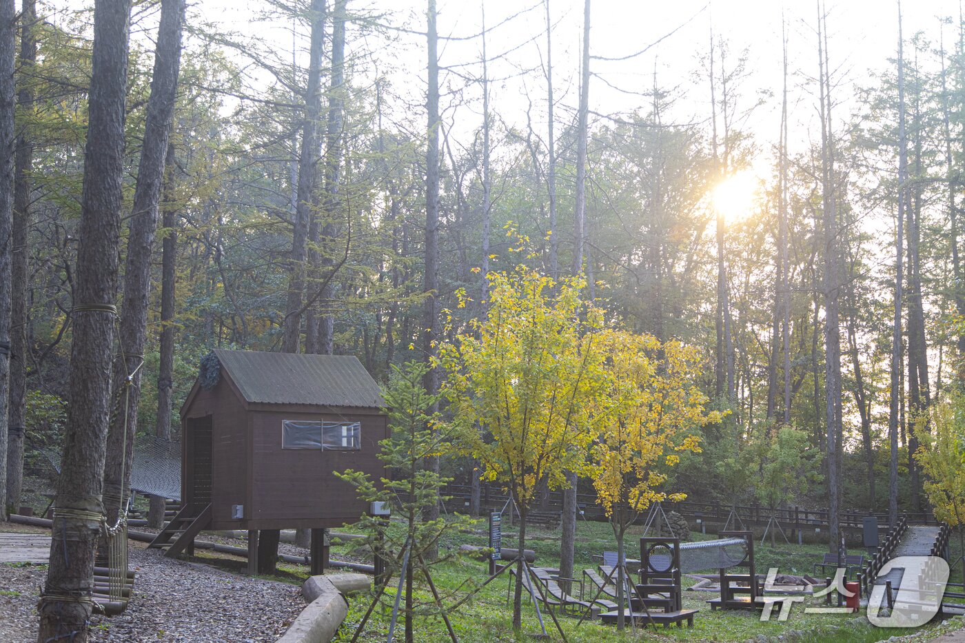 본문 이미지 - 숲속 위로가 함께 하는 &#39;연천 고대산자연휴양림&#39;.&#40;경기관광공사 제공. 재판매 및 DB금지&#41;/뉴스1