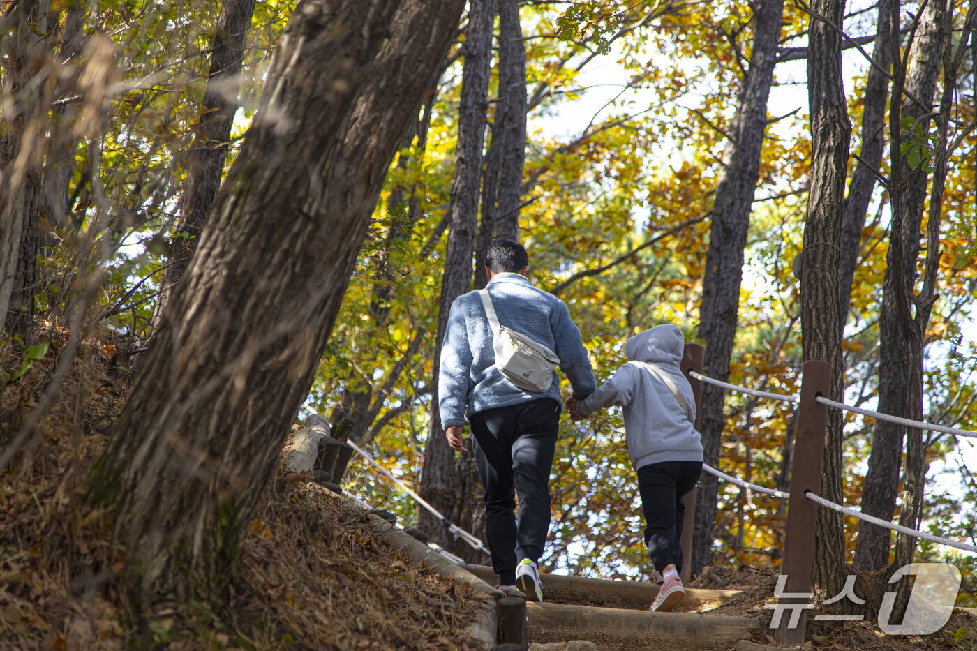 본문 이미지 - 산책, 트레킹, 등산이 하나로 &#39;광명 구름산산림욕장&#39;.&#40;경기관광공사 제공. 재판매 및 DB금지&#41;/뉴스1