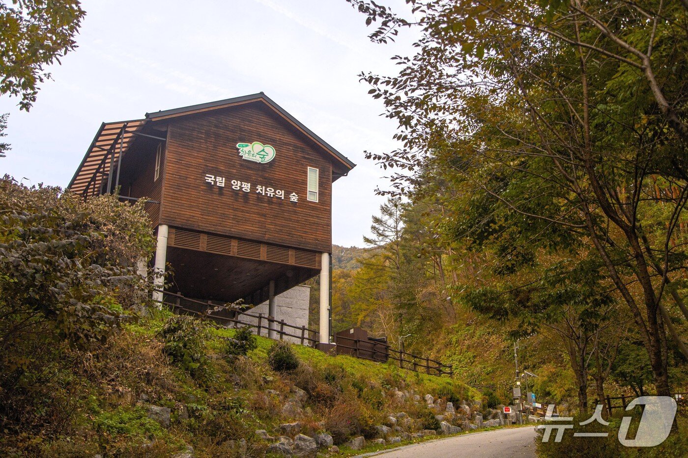 본문 이미지 - 다양한 프로그램을 즐길 수 있는 &#39;양평 국립양평치유의숲&#39;. &#40;경기관광공사 제공. 재판매 및 DB금지&#41;/뉴스1