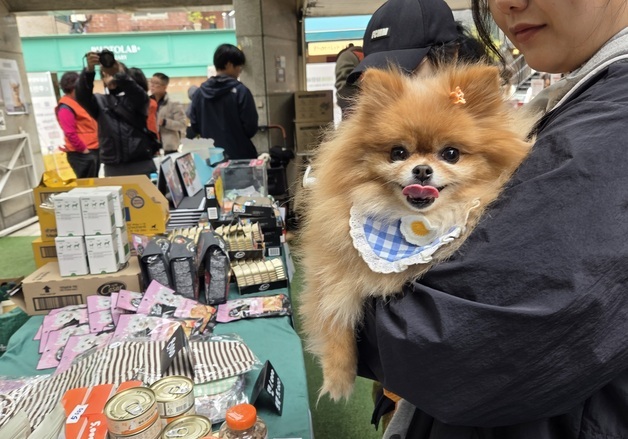핫플 성수서 펼쳐진 착한 플렉스…'꼬리마을 습격' 바자회 인산인해