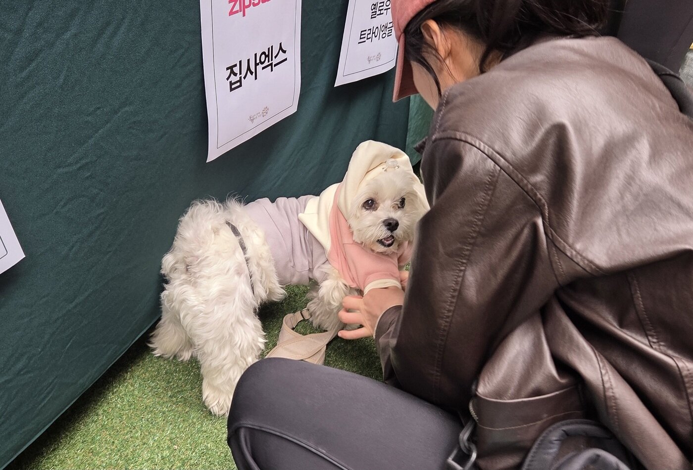 본문 이미지 - 유기동물 후원 바자회에서 겨울옷을 장만하는 반려견과 보호자 ⓒ 뉴스1 한송아 기자