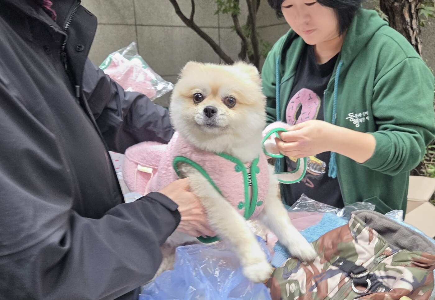 본문 이미지 - 유기동물 후원 바자회에서 겨울옷을 장만하는 반려견과 보호자 ⓒ 뉴스1 한송아 기자