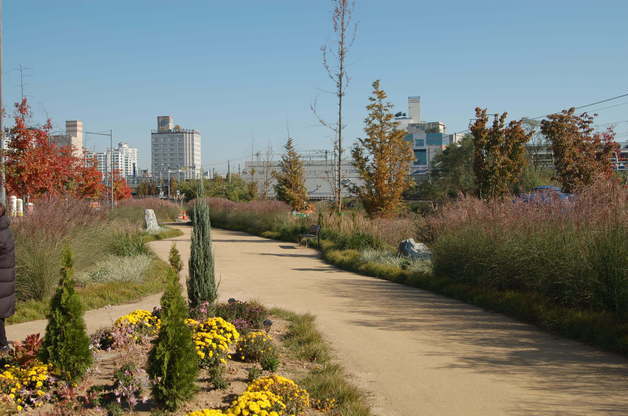 청주시 민·관·공 협업 '오송물결정원' 생태경관 1차 마무리