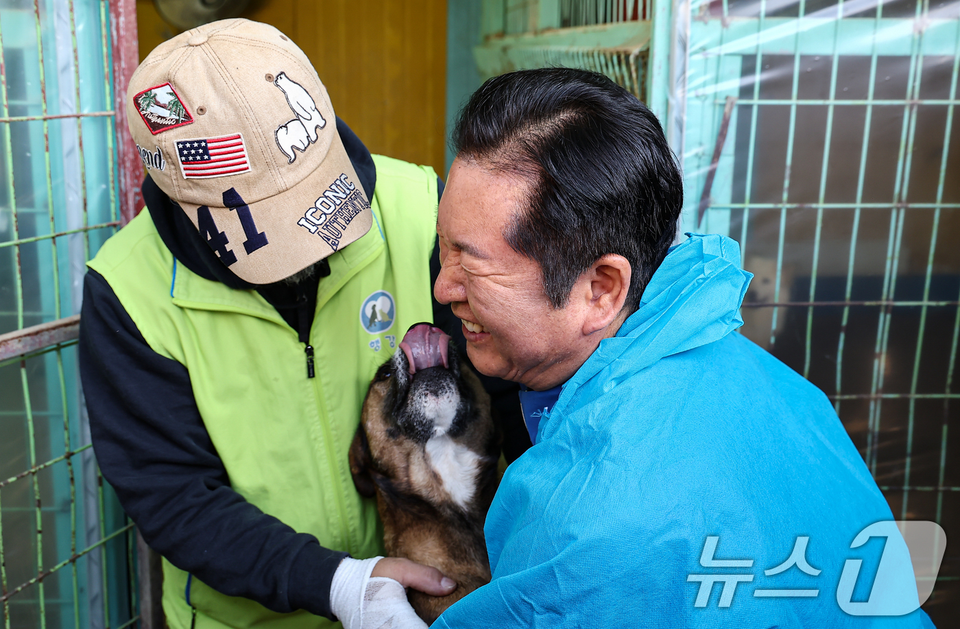 (용인=뉴스1) 김도우 기자 = 정청래 더불어민주당 대표가 9일 용인시 처인구의 한 유기견 보호소를 봉사활동차 방문해 유기견과 인사를 나누고 있다. 2025.11.9/뉴스1