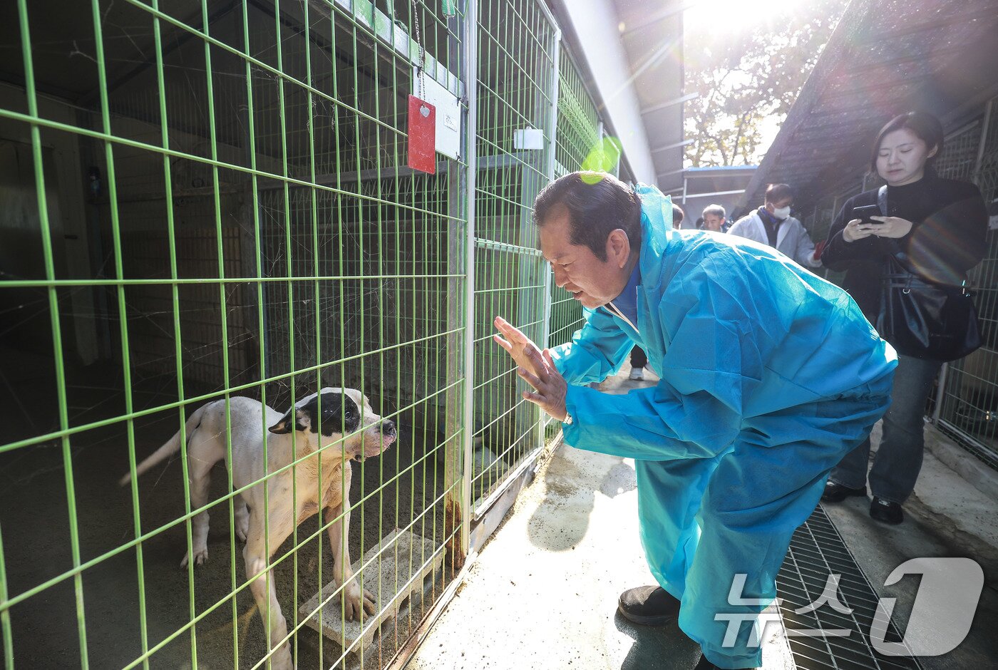 본문 이미지 - 정청래 더불어민주당 대표가 9일 용인시 처인구의 한 유기견 보호소를 봉사활동차 방문해 유기견과 인사를 나누고 있다. &#40;공동취재&#41; 2025.11.9/뉴스1 ⓒ News1 김도우 기자