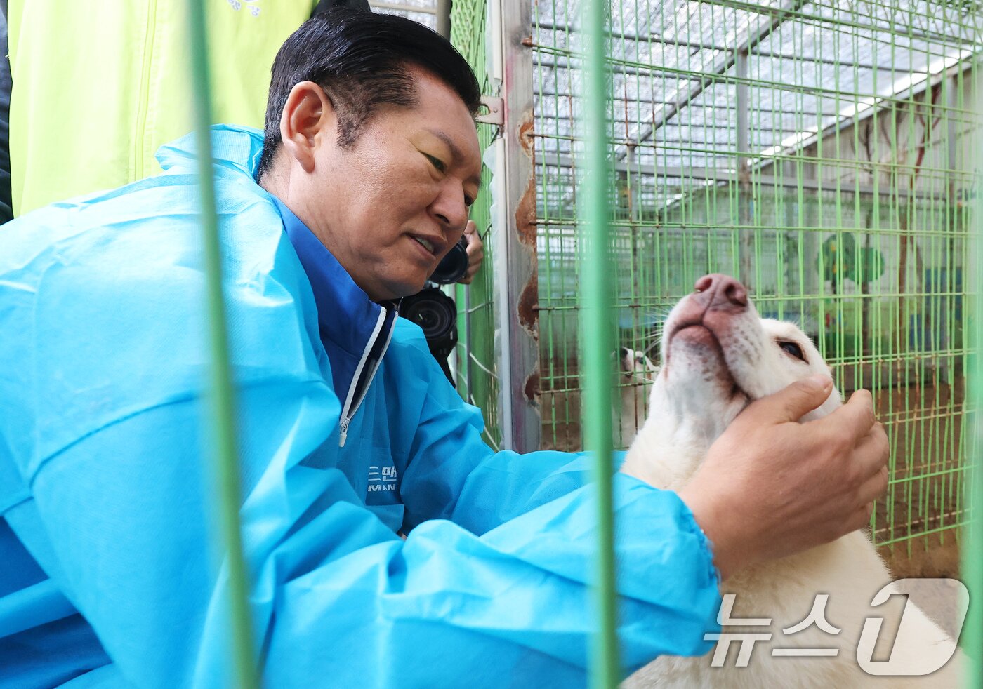 본문 이미지 - 정청래 더불어민주당 대표가 9일 용인시 처인구의 한 유기견 보호소를 봉사활동차 방문해 유기견과 인사를 나누고 있다. &#40;공동취재&#41; 2025.11.9/뉴스1 ⓒ News1 김도우 기자