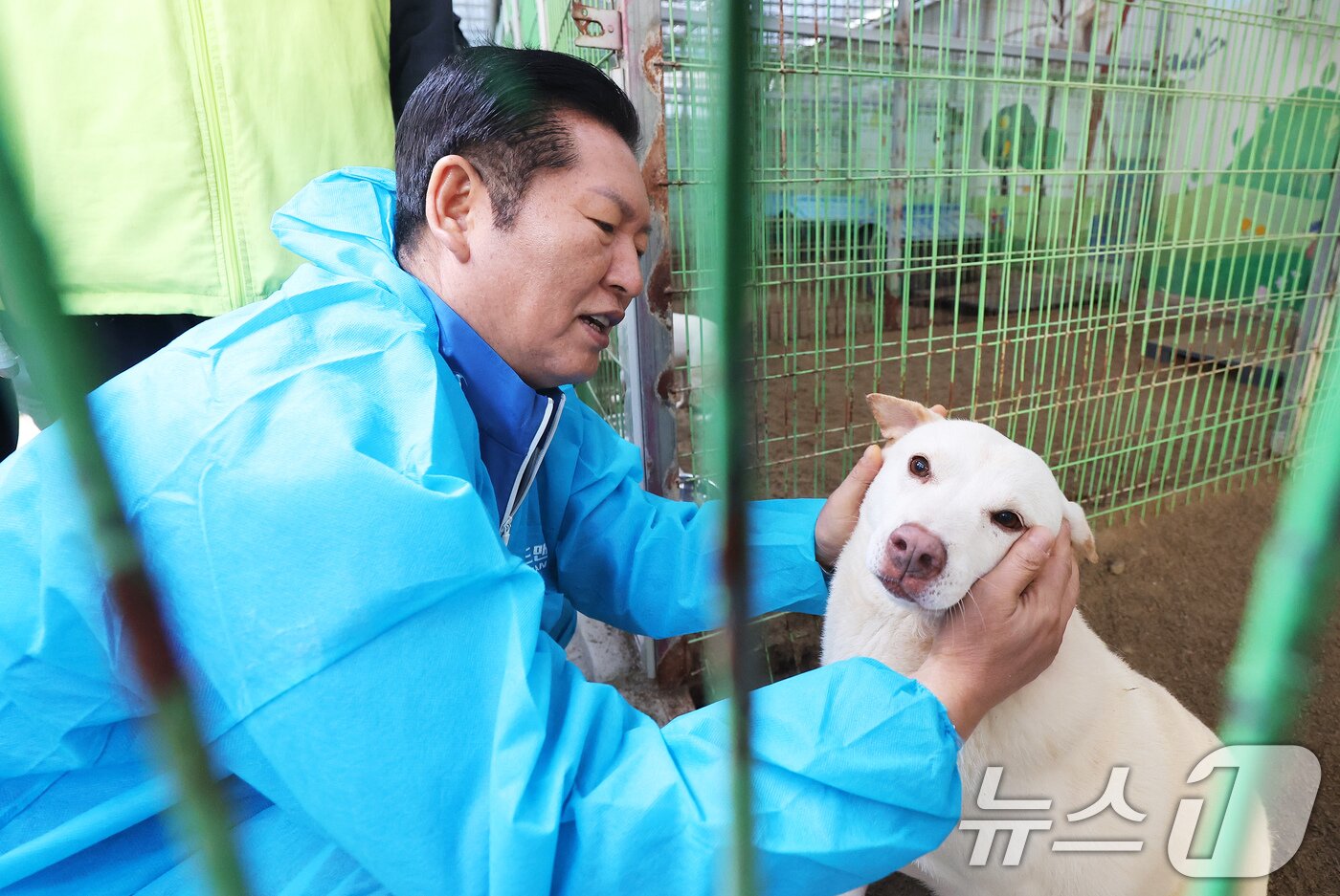 본문 이미지 - 정청래 더불어민주당 대표가 9일 용인시 처인구의 한 유기견 보호소를 봉사활동차 방문해 유기견과 인사를 나누고 있다. &#40;공동취재&#41; 2025.11.9/뉴스1 ⓒ News1 김도우 기자