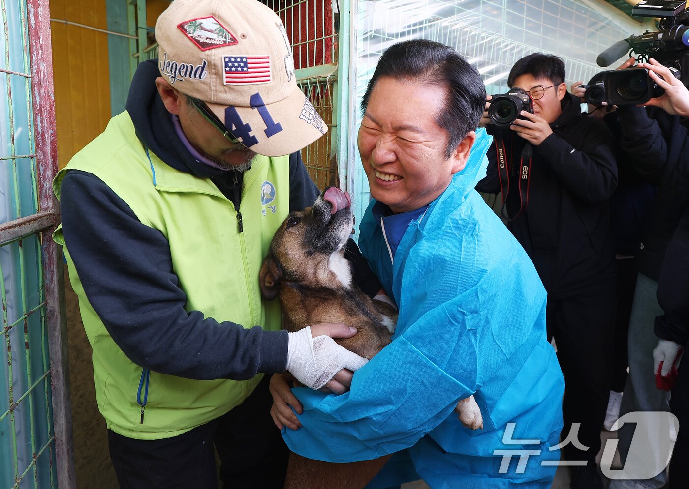 본문 이미지 - 정청래 더불어민주당 대표가 9일 용인시 처인구의 한 유기견 보호소를 봉사활동차 방문해 유기견과 인사를 나누고 있다. &#40;공동취재&#41; 2025.11.9/뉴스1 ⓒ News1 김도우 기자