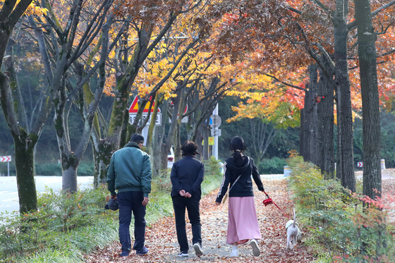 [오늘의 날씨] 대구·경북(10일, 월)…낮 최고 11~15도, 바람불고 '쌀쌀'
