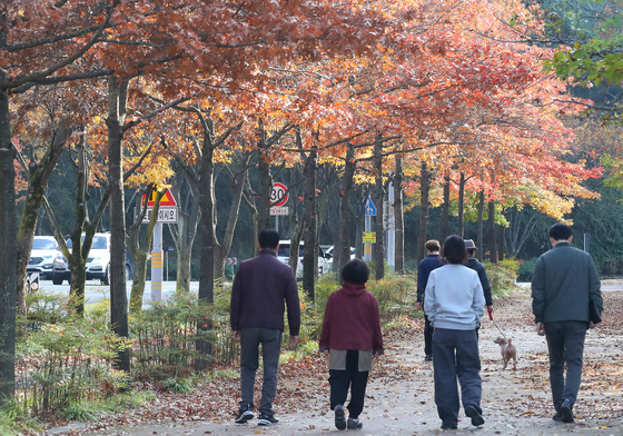 15도 안팎 큰 일교차…오후부터 중부지역 5㎜ 미만 비[오늘날씨]
