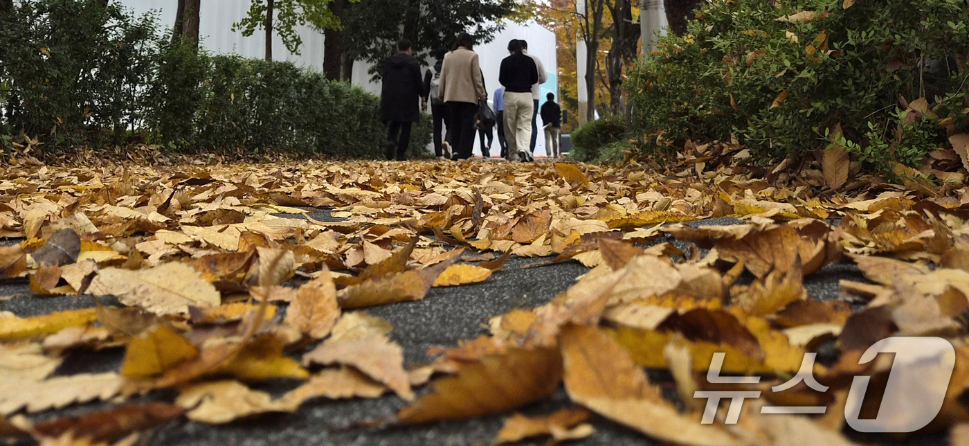 (전주=뉴스1) 유경석 기자 = 완연한 가을 날씨를 보인 9일 전북 전주시 천서로에서 시민들이 낙엽을 밟으며 발걸음을 옮기고 있다. 2025.11.9/뉴스1