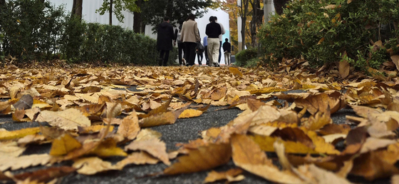 [오늘의 날씨] 경기(17일, 월)…"기온 뚝 쌀쌀, 대기 깨끗"