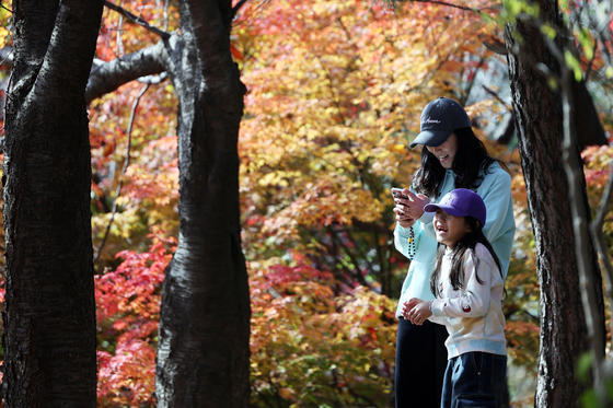 "떠나는 가을 정취 즐기자"…충북 유명산·관광 명소 북적