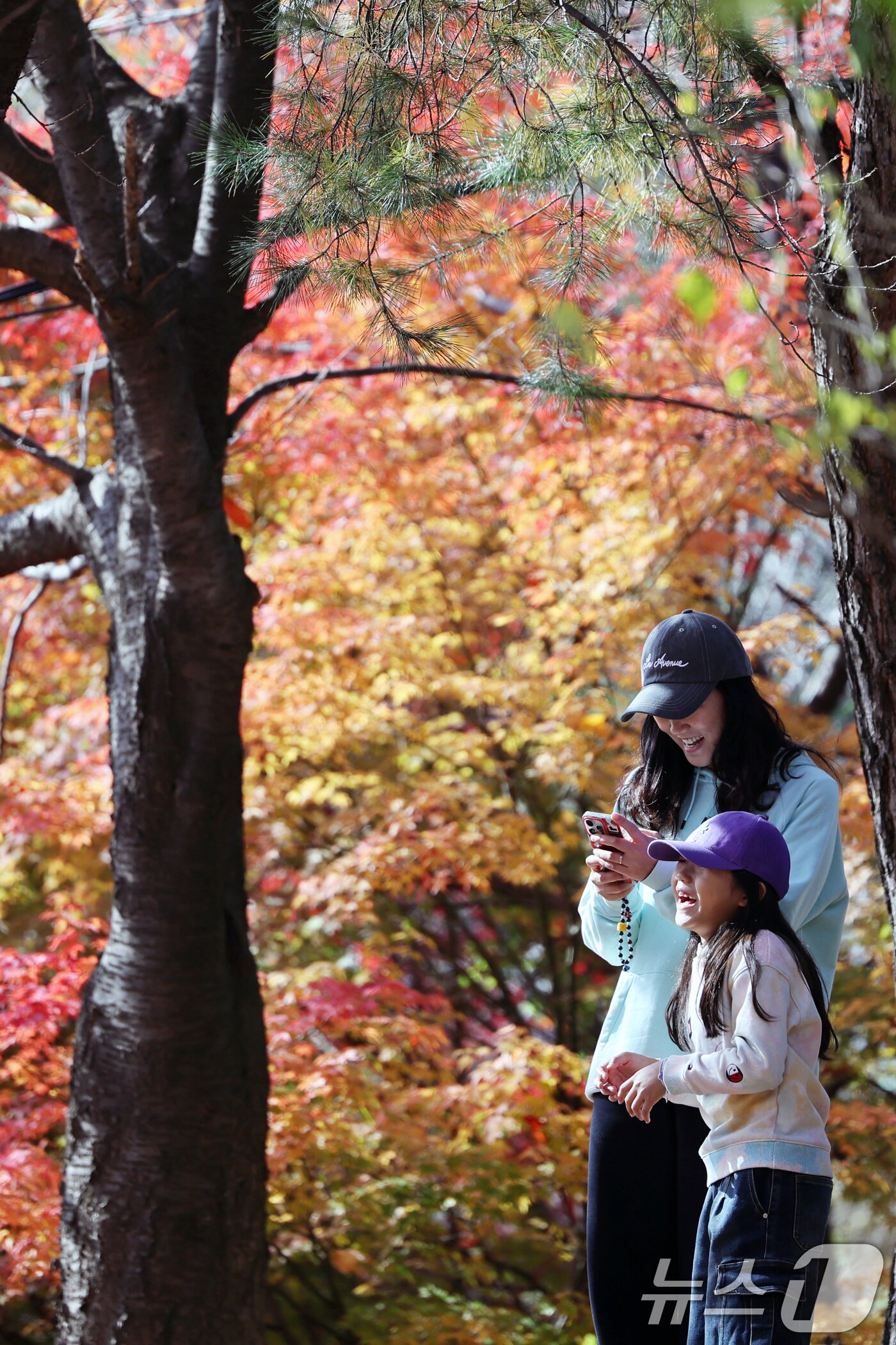 본문 이미지 - 온화한 가을 날씨를 보인 9일 오후 서울 종로구 인왕산 등산로에서 시민들이 단풍과 함께 즐거운 시간을 보내고 있다. 2025.11.9/뉴스1 ⓒ News1 황기선 기자