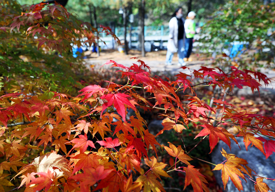 [오늘의 날씨] 경기(12일, 수)…"맑고 오후 구름, 아침·저녁 쌀쌀"