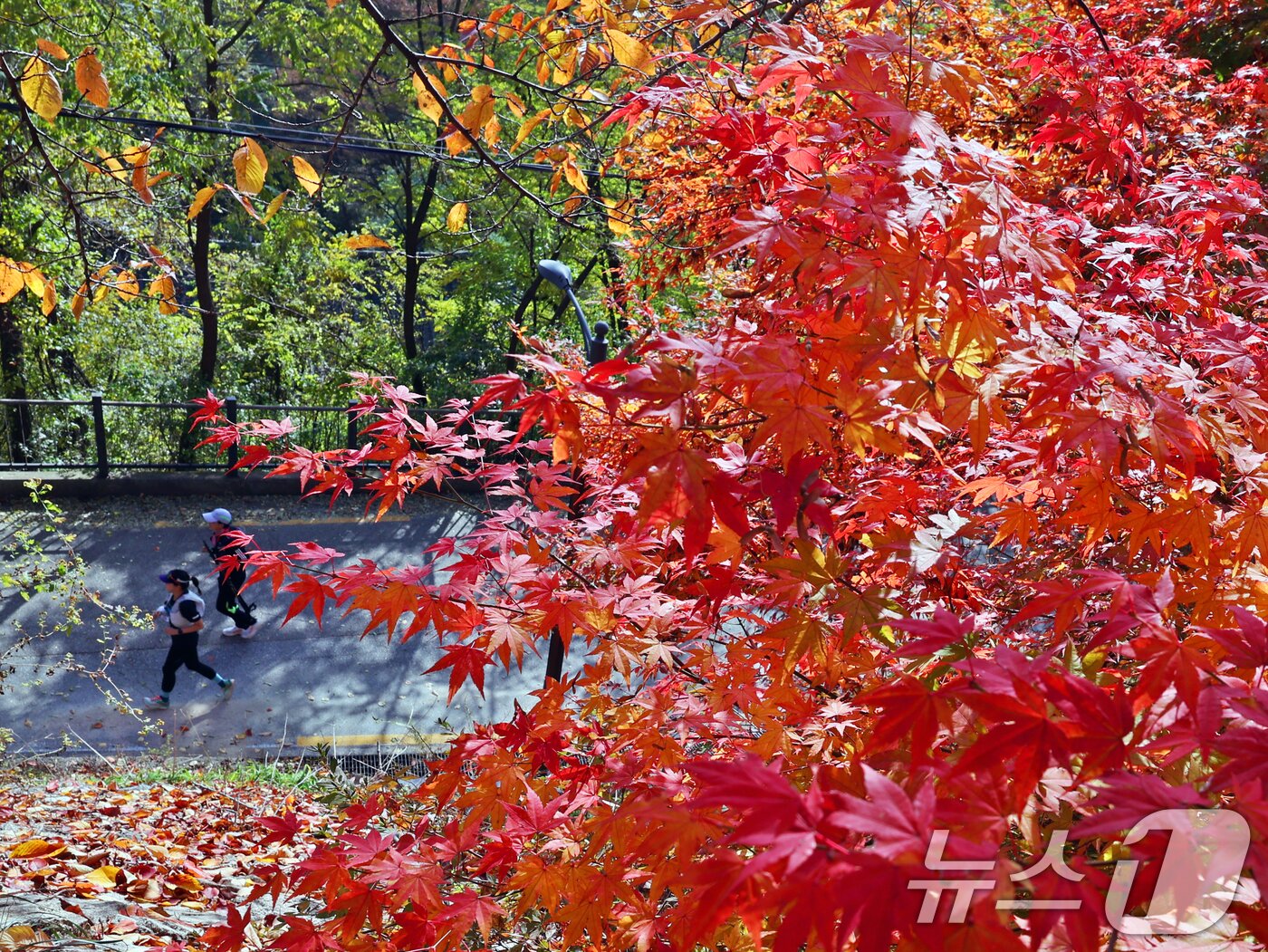 본문 이미지 - 온화한 가을 날씨를 보인 9일 오후 서울 종로구 인왕산 등산로에서 시민들이 단풍길을 산책하고 있다. 2025.11.9/뉴스1 ⓒ News1 황기선 기자
