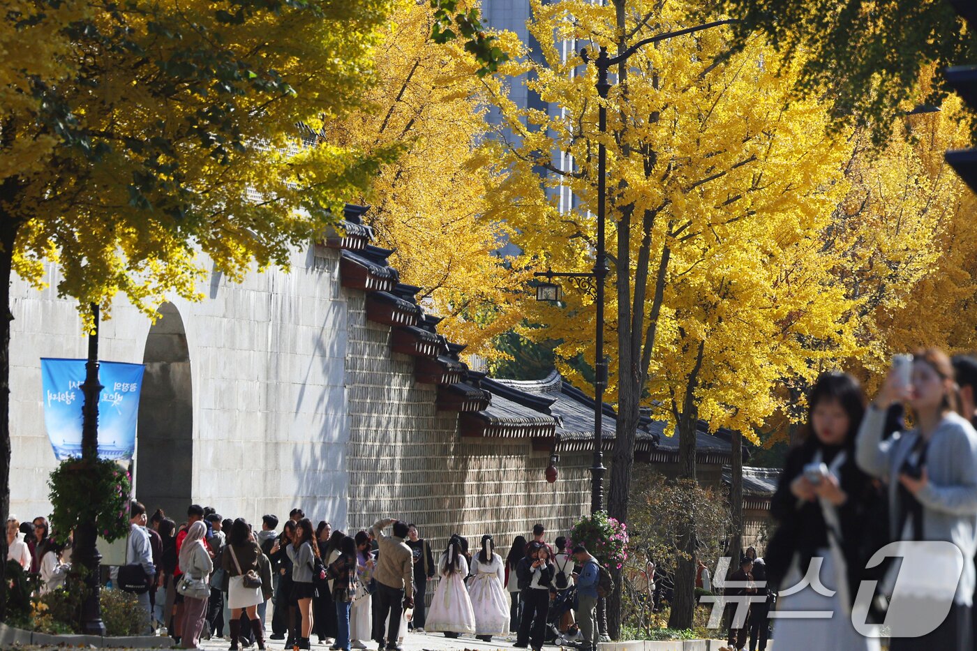 본문 이미지 - 온화한 가을 날씨를 보인 9일 오후 서울 종로구 효자로에서 외국인 관광객과 시민들이 노랗게 물든 은행나무와 함께 즐거운 시간을 보내고 있다. 2025.11.9/뉴스1 ⓒ News1 황기선 기자
