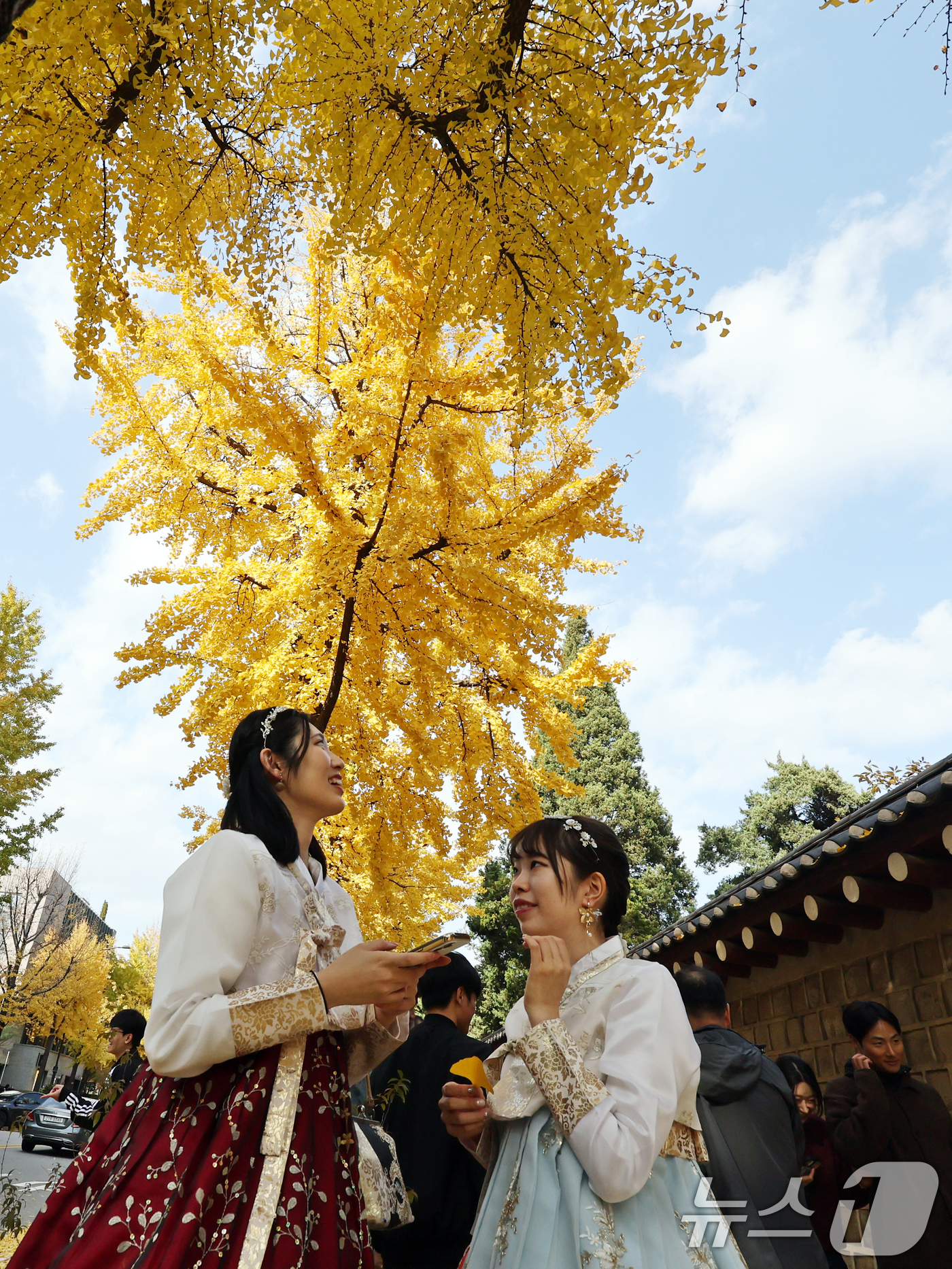 (서울=뉴스1) 황기선 기자 = 온화한 가을 날씨를 보인 9일 오후 서울 종로구 효자로에서 외국인 관광객과 시민들이 노랗게 물든 은행나무와 함께 즐거운 시간을 보내고 있다.  20 …