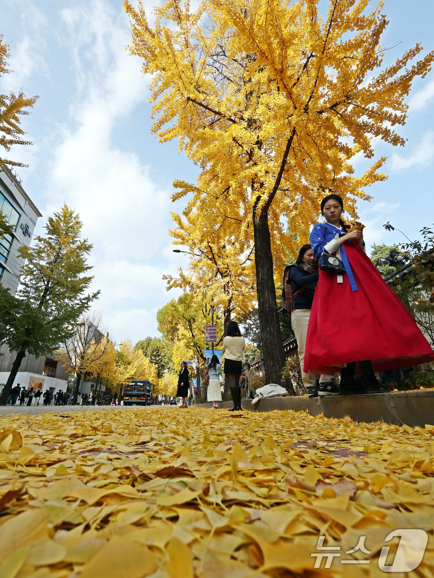 본문 이미지 - 온화한 가을 날씨를 보인 9일 오후 서울 종로구 효자로에서 외국인 관광객과 시민들이 노랗게 물든 은행나무와 함께 즐거운 시간을 보내고 있다. 2025.11.9/뉴스1 ⓒ News1 황기선 기자