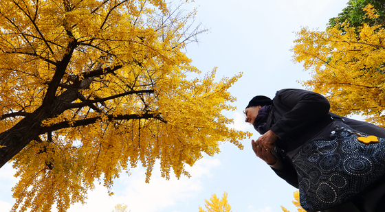 광주·전남 다음 주 초겨울 추위…17~18일 첫눈 가능성