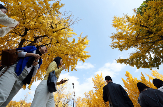 [오늘의 날씨] 광주·전남(14일, 금)…낮과 밤 기온차 매우 큼
