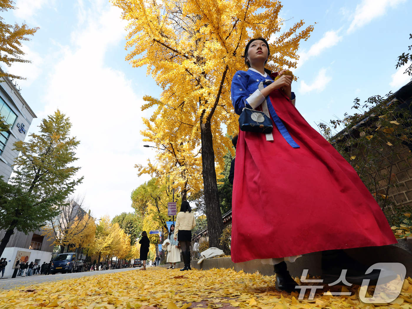 (서울=뉴스1) 황기선 기자 = 온화한 가을 날씨를 보인 9일 오후 서울 종로구 효자로에서 외국인 관광객과 시민들이 노랗게 물든 은행나무와 함께 즐거운 시간을 보내고 있다.  20 …