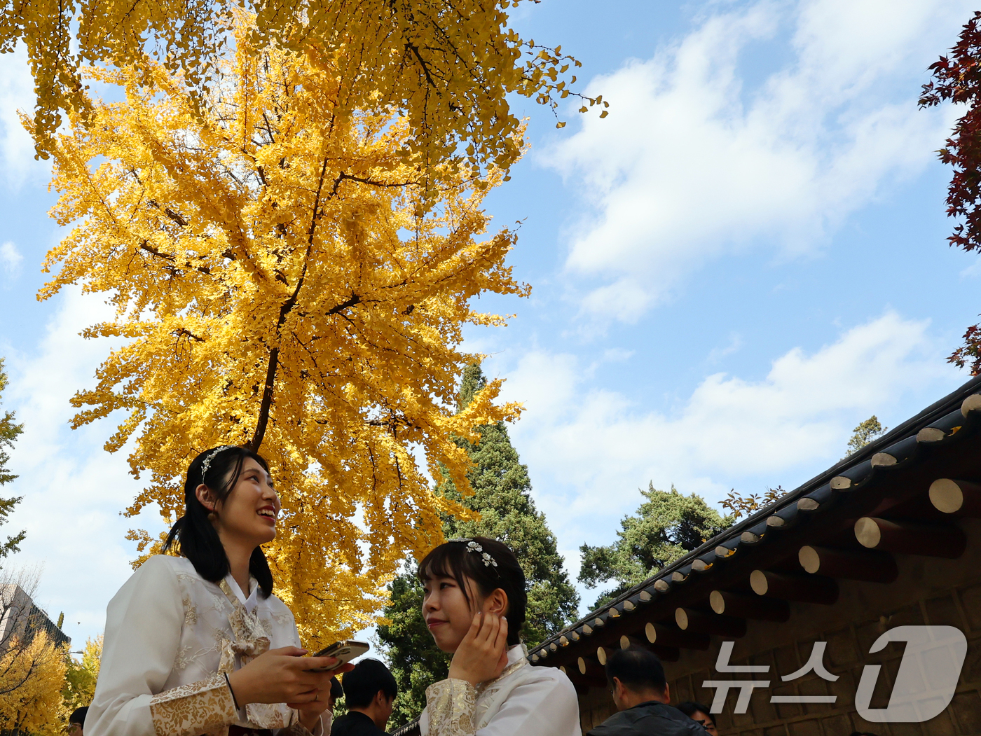 (서울=뉴스1) 황기선 기자 = 온화한 가을 날씨를 보인 9일 오후 서울 종로구 효자로에서 외국인 관광객과 시민들이 노랗게 물든 은행나무와 함께 즐거운 시간을 보내고 있다.  20 …