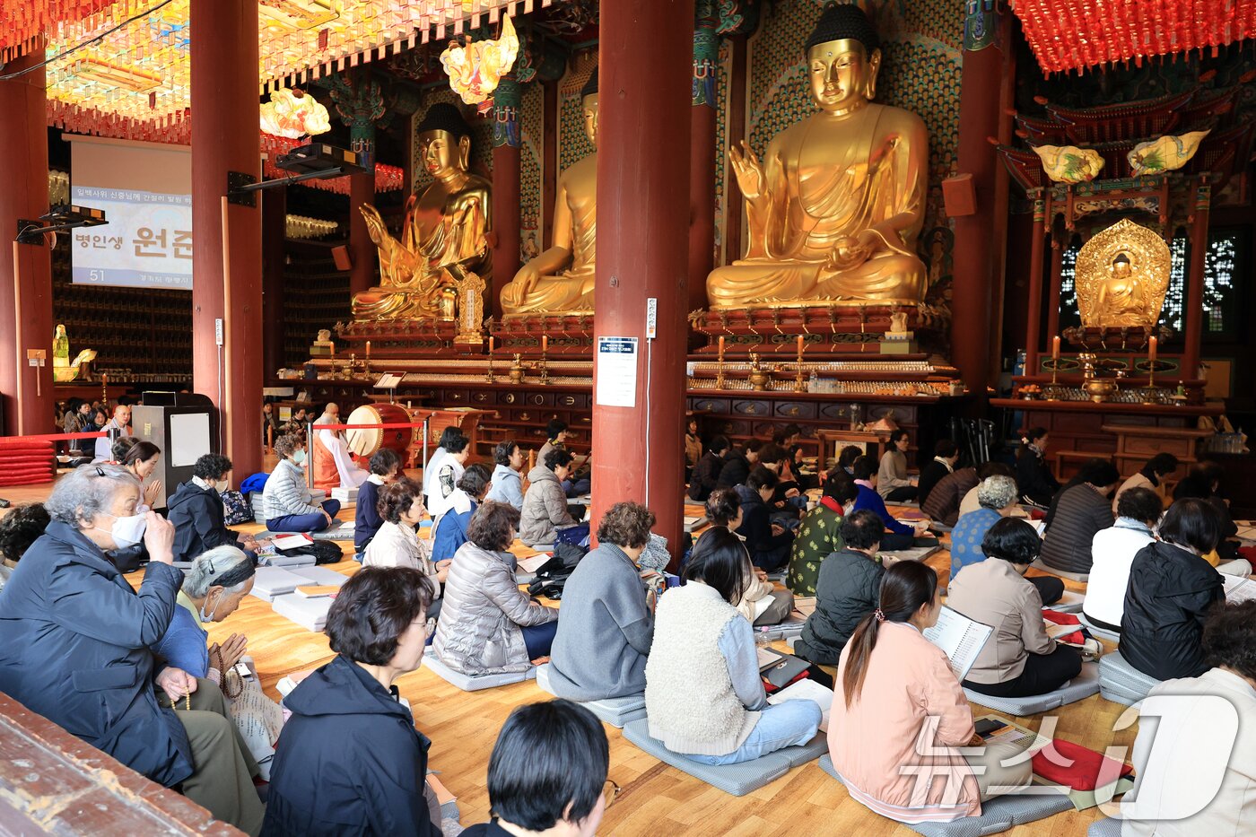 본문 이미지 - 2026학년도 대학수학능력시험을 나흘 앞둔 9일 서울 종로구 조계사에서 열린 수능 기도를 찾은 수험생 학부모 및 불자들이 기도를 하고 있다. 2025.11.9/뉴스1 ⓒ News1 이호윤 기자