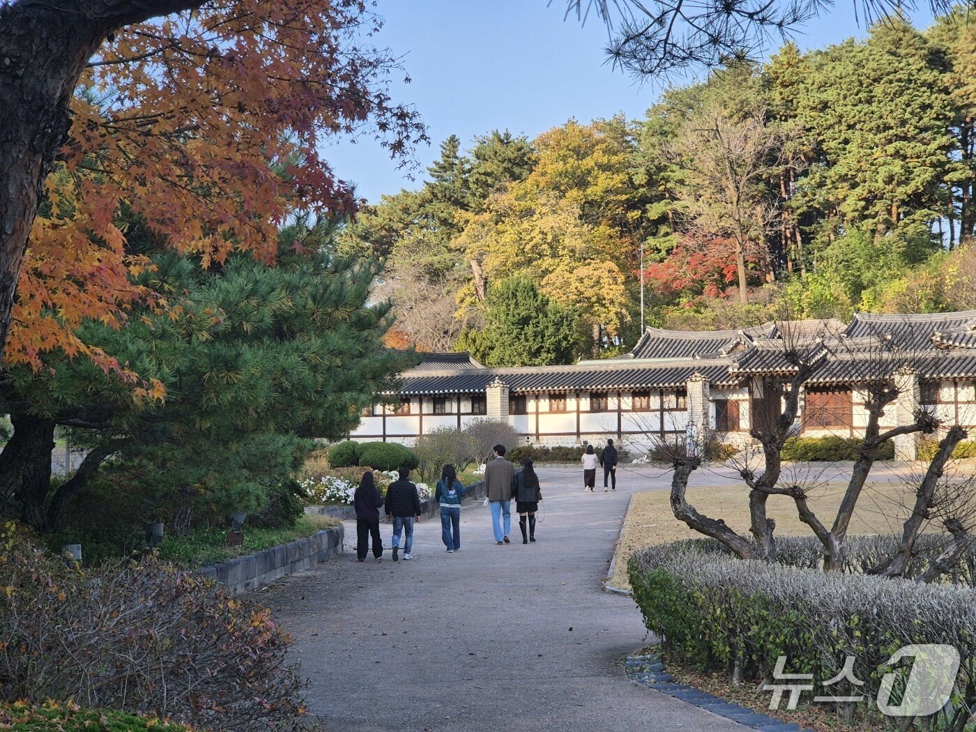 본문 이미지 - 일요일인 9일 강원 강릉시 선교장을 찾은 나들이객들이 절정의 단풍을 만끽하고 있다. 2025.11.9/뉴스1