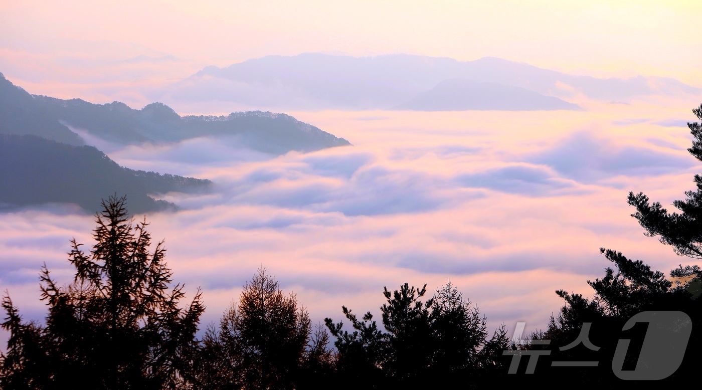 (인제=뉴스1) 이종재 기자 = 9일 오전 강원 인제군 인제읍 원대리 박달고지 전망대에서 내려다 본 운해가 장관을 이루고 있다.(인제군 제공. 재판매 및 DB금지) 2025.11. …