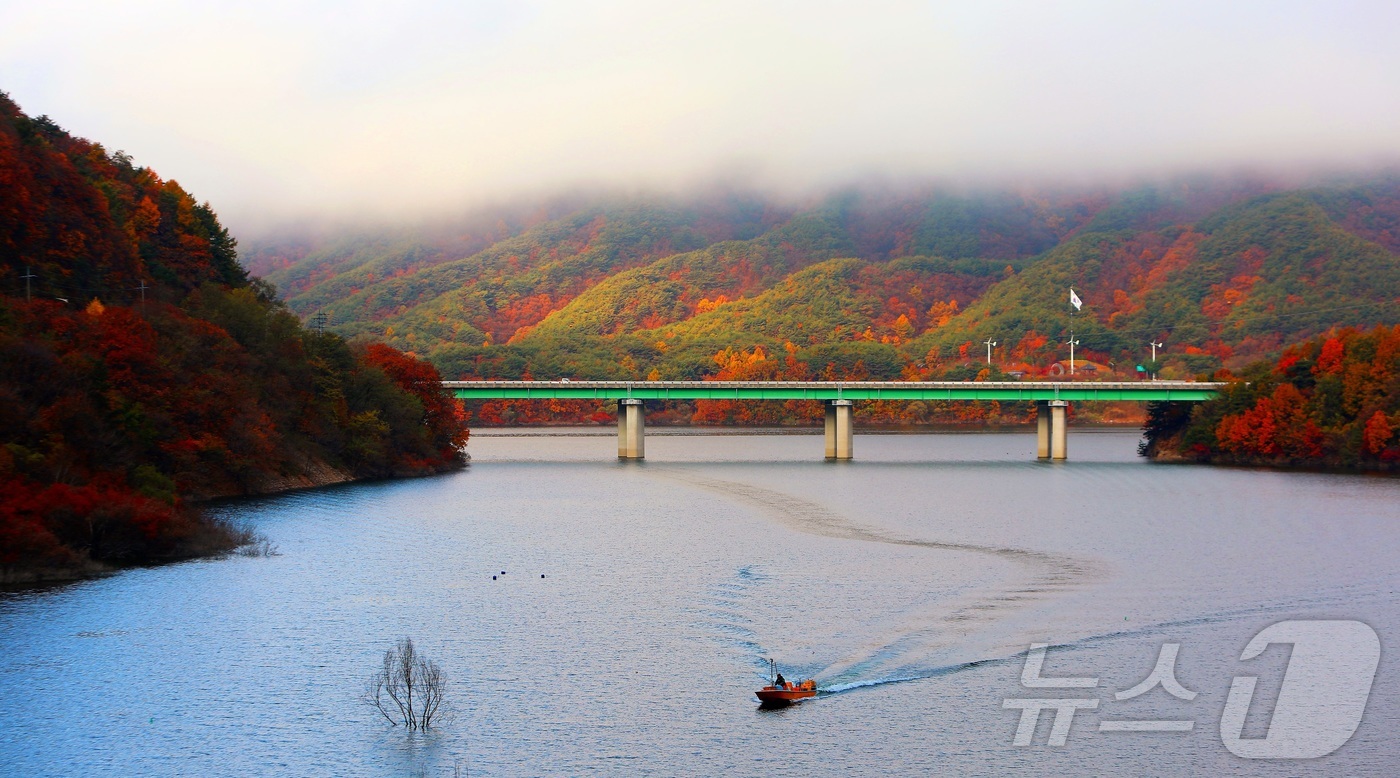 (인제=뉴스1) 이종재 기자 = 9일 오전 강원 인제군 소양호 일대에서 한 어부가 늦가을 단풍 사이로 조업을 하고 있다.(인제군 제공. 재판매 및 DB금지) 2025.11.9/뉴스 …