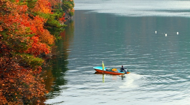 [오늘의 날씨] 강원(16일, 일)…동해안 건조, 일교차 큰 날씨