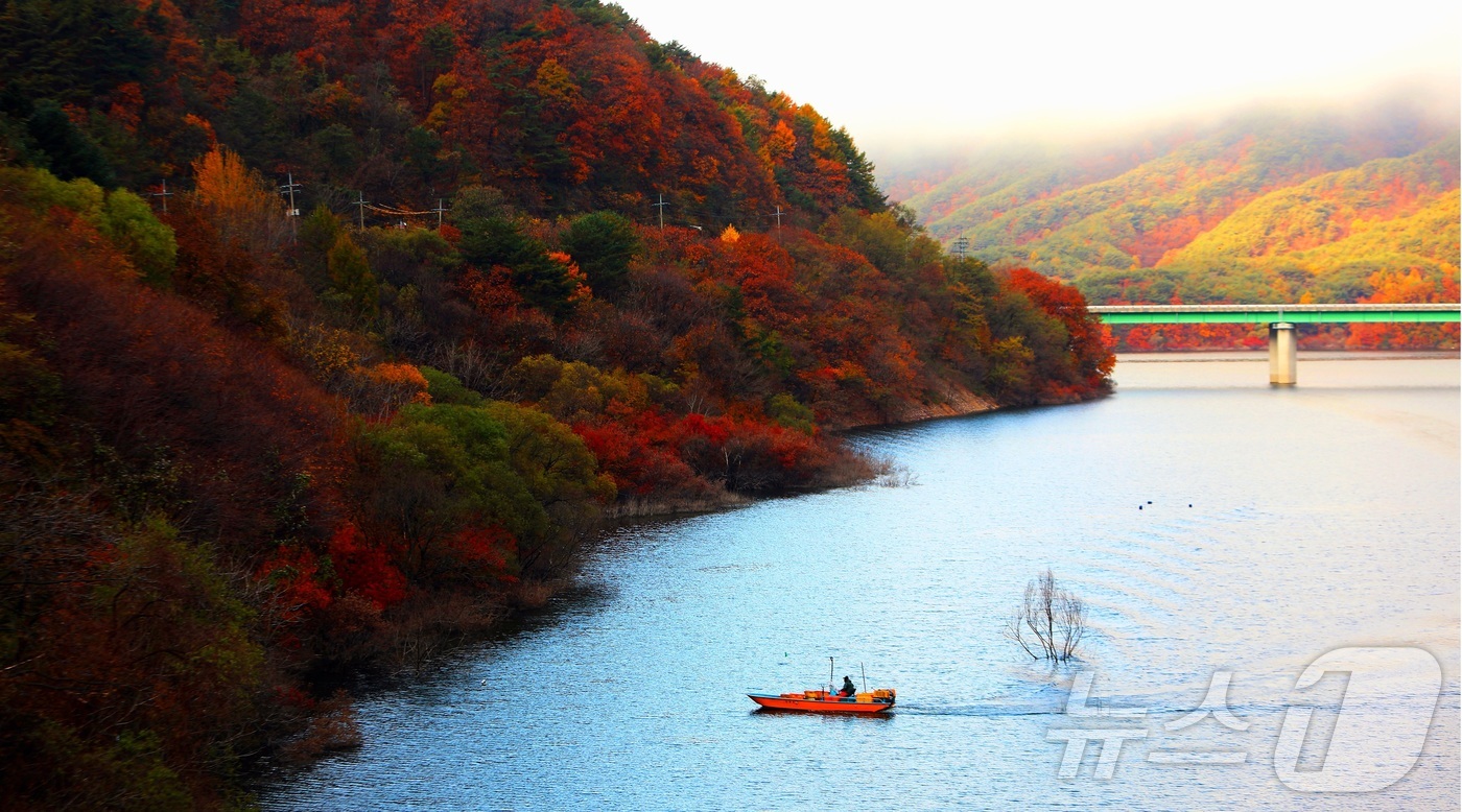 (인제=뉴스1) 이종재 기자 = 9일 오전 강원 인제군 소양호 일대에서 한 어부가 늦가을 단풍 사이로 조업을 하고 있다.(인제군 제공. 재판매 및 DB금지) 2025.11.9/뉴스 …
