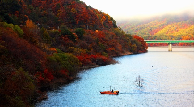 늦가을 소양호의 단풍과 조업 중인 어부