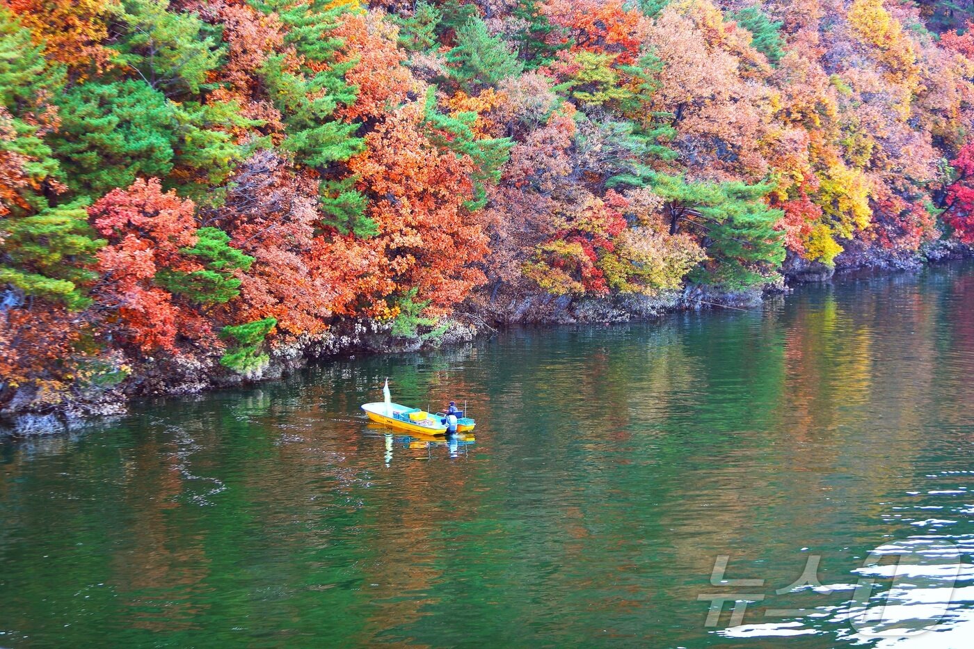 본문 이미지 - 9일 오전 강원 인제군 소양호 일대에서 한 어부가 늦가을 단풍 사이로 조업을 하고 있다.&#40;인제군 제공. 재판매 및 DB금지&#41; 2025.11.9/뉴스1 ⓒ News1 이종재 기자