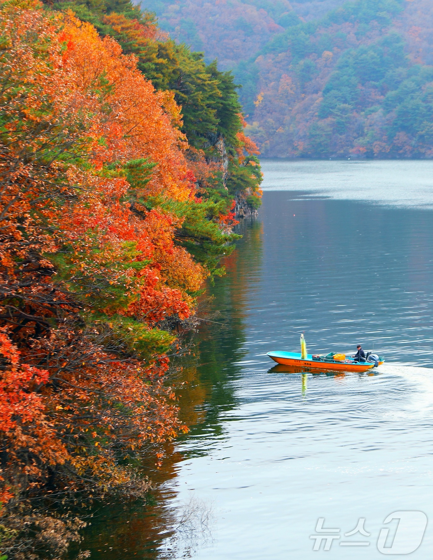 (인제=뉴스1) 이종재 기자 = 9일 오전 강원 인제군 소양호 일대에서 한 어부가 늦가을 단풍 사이로 조업을 하고 있다.(인제군 제공. 재판매 및 DB금지) 2025.11.9/뉴스 …