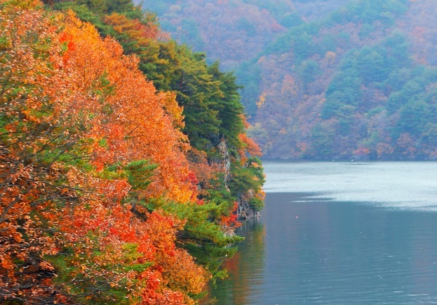 늦가을 소양호의 단풍과 조업 중인 어부