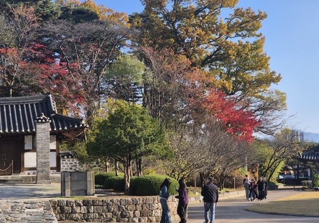 강릉 선교장 단풍 배경 삼아 '찰칵'…구미엔 라면 내음 '가득'(종합)