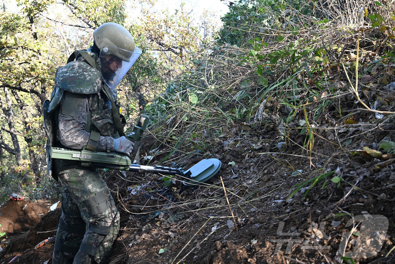 (서울=뉴스1) = 국방부는 6·25전쟁 당시 중부 전선의 주요 전투지역이었던 강원도 철원 백마고지 일대 유해발굴을 10월 15일부터 11월 28일까지 실시했다고 1일 밝혔다. 사 …