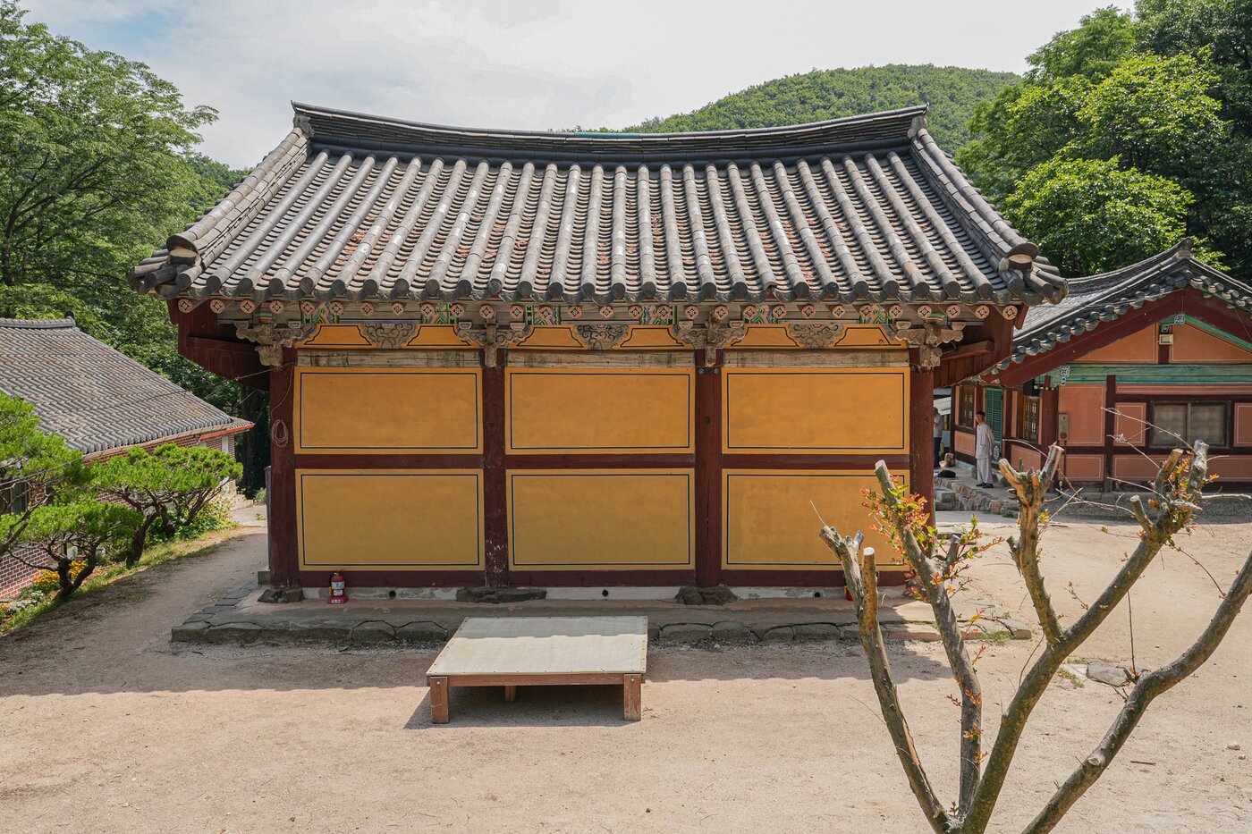 본문 이미지 - '안성 청원사 대웅전' 뒷모습(국가유산청 제공)