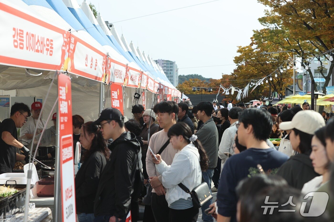 본문 이미지 - 올해 강릉누들축제 찾은 나들이객.&#40;강릉시 제공, 재판매 및 DB 금지&#41; 2025.12.1/뉴스1