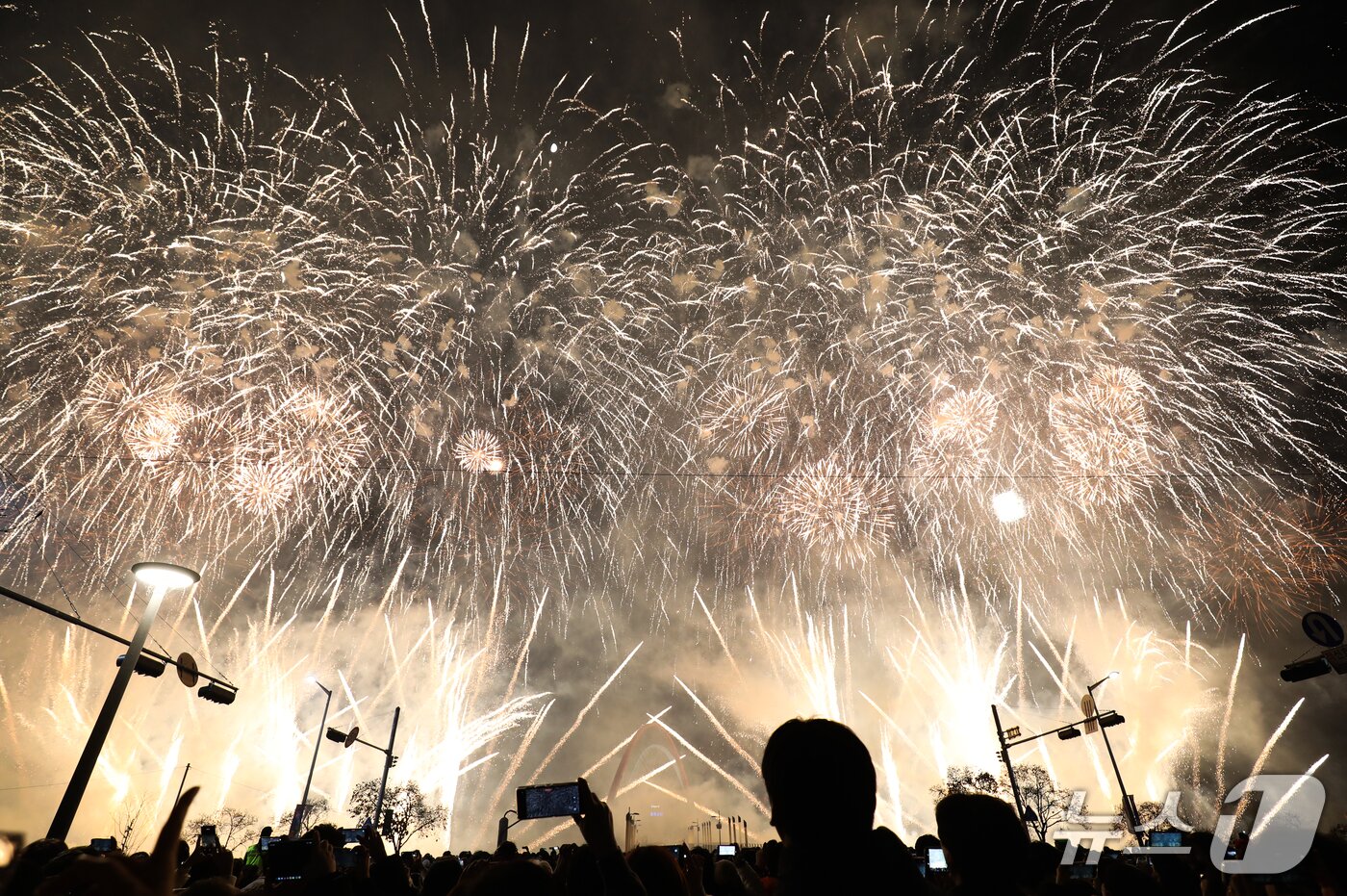 본문 이미지 - 30일 대전 유성구 엑스포공원과 엑스포다리 일대에서 열린 대전 한화 불꽃축제에서 화려한 불꽃이 밤 하늘을 수 놓고 있다.  2025.11.30/뉴스1 ⓒ News1 김기태 기자