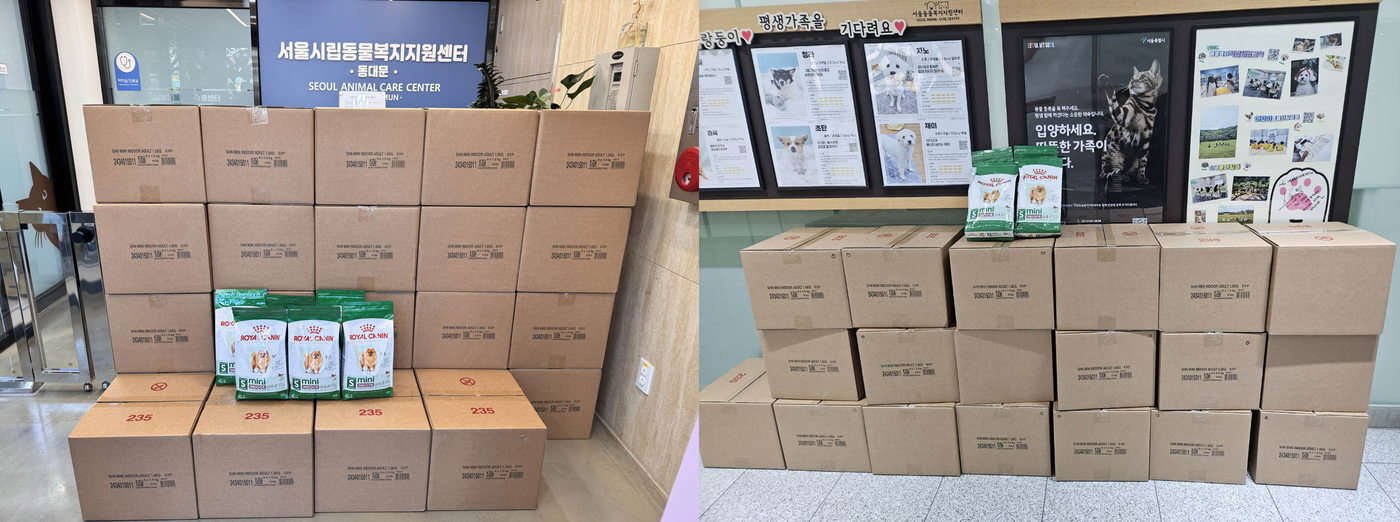 본문 이미지 - 서울시 노원구 애니멀 호딩 구조견 위해 긴급 지원된 로얄캐닌 사료(로얄캐닌 제공) ⓒ 뉴스1