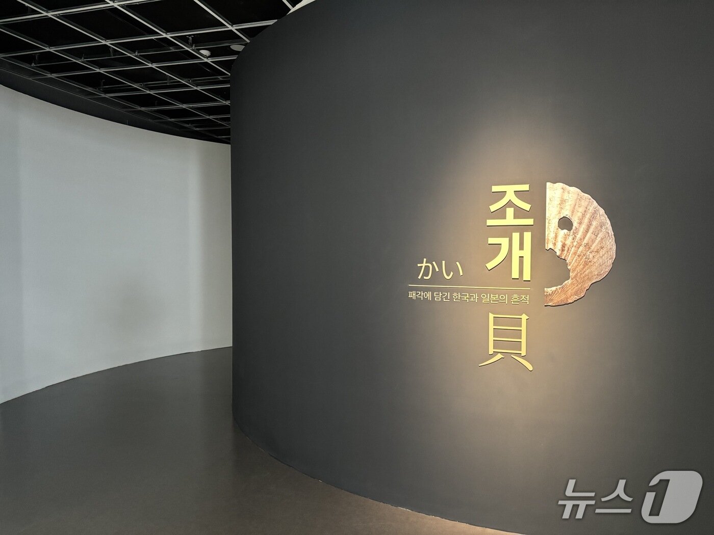 본문 이미지 - &#39;조개, 카이 : 패각에 담긴 한국과 일본의 흔적&#39; 전시회 입구 2025.12.1 ⓒ 뉴스1 홍윤 기자