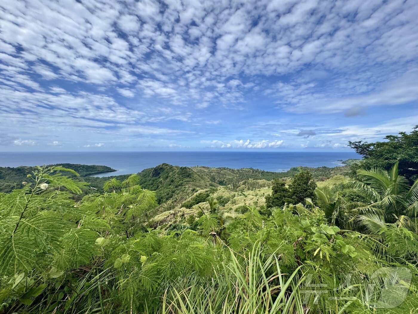 본문 이미지 - 익스플로어 PIC 남부투어 중 세티만 전망대에서 내려다보는 괌 풍경 ⓒ News1 이민주 기자