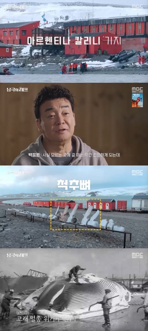 본문 이미지 - MBC &#39;남극의 셰프&#39; 캡처