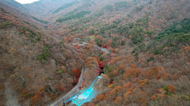 '자연휴양림' 시립·도립·국립 모두 보유한 보령…힐링여행지 주목
