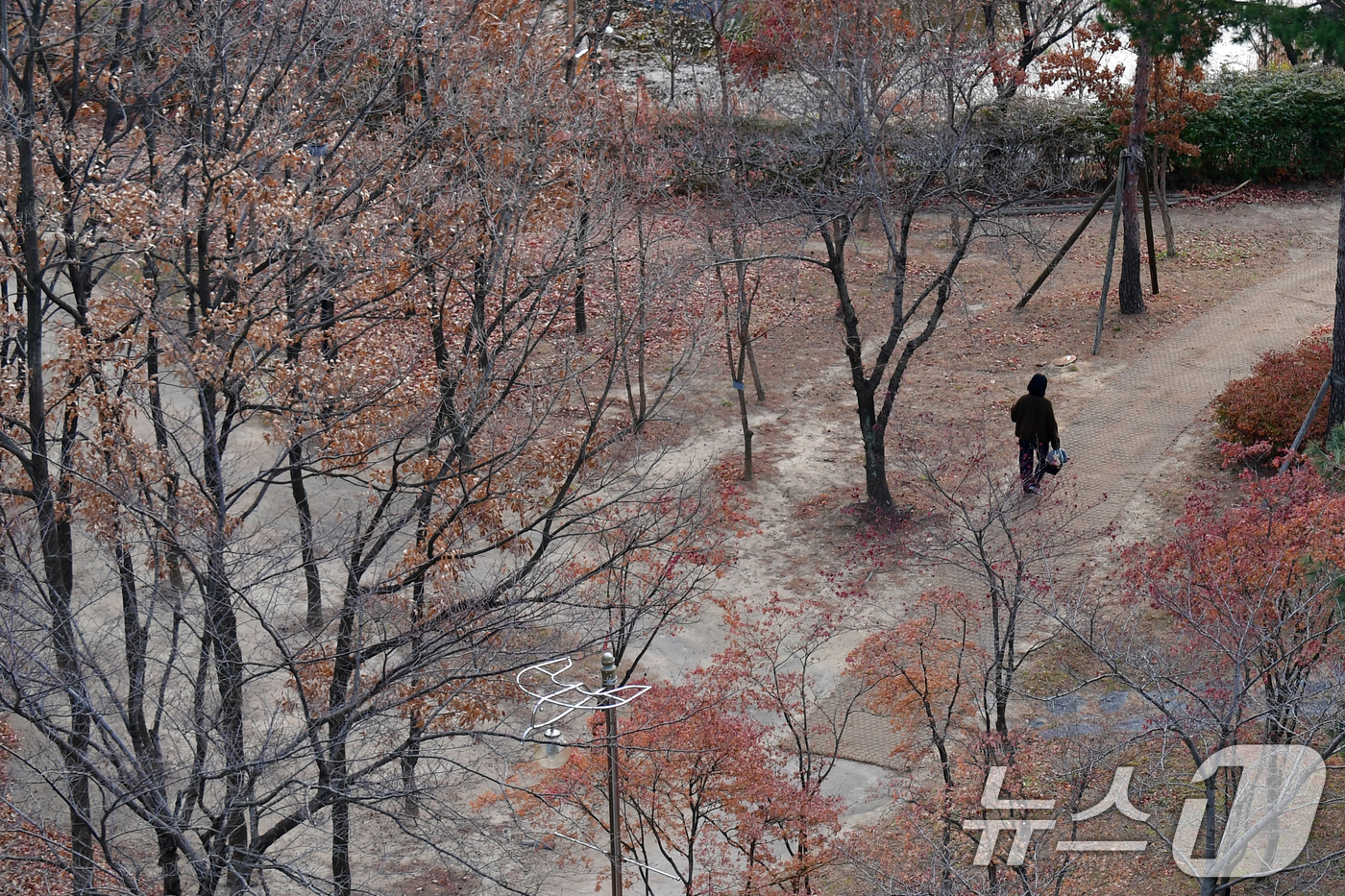 (포항=뉴스1) 최창호 기자 = 10일 오전 경북 포항시청 옆 숲깊에서 한 시민이 걸어가고 있다. 2025.12.10/뉴스1